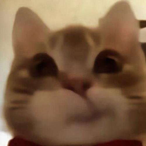 สมาชิกหมายเลข 7580771