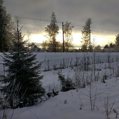 สมาชิกหมายเลข 4534486