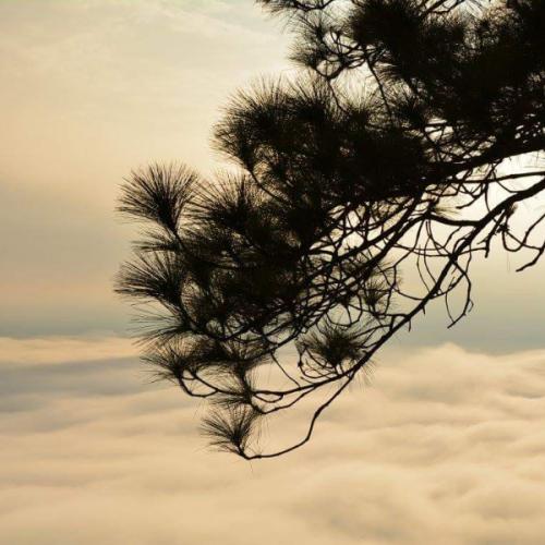 สมาชิกหมายเลข 3616792