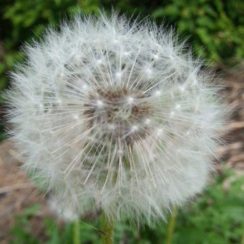 สมาชิกหมายเลข 4357723