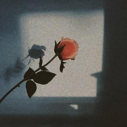 สมาชิกหมายเลข 5120789