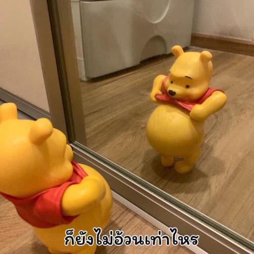 สมาชิกหมายเลข 5265782