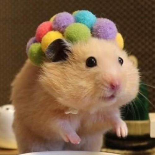 สมาชิกหมายเลข 5704556