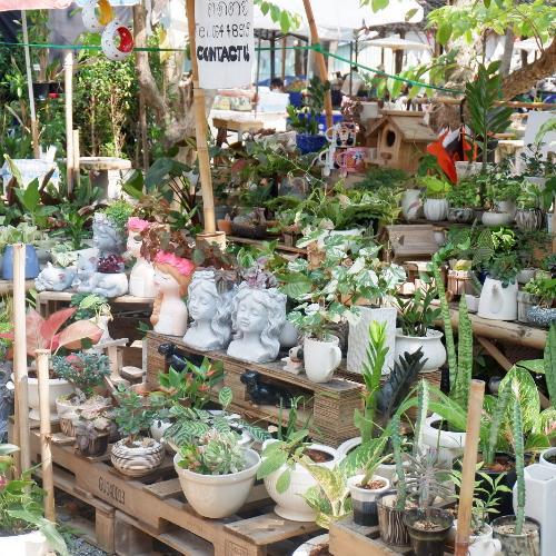 สมาชิกหมายเลข 5965317