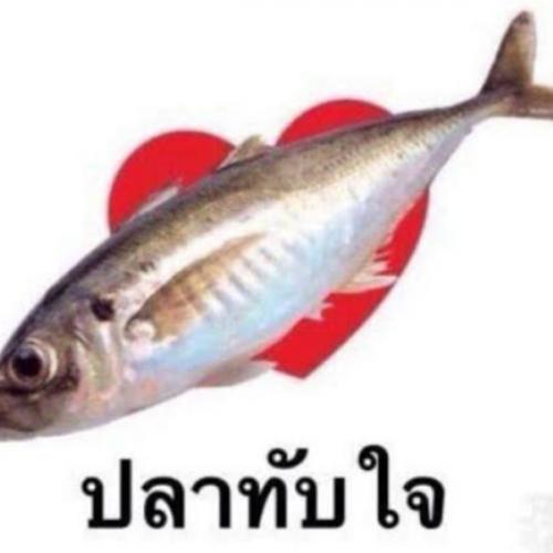 สมาชิกหมายเลข 6957031