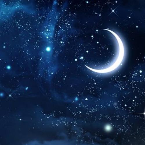 ชะนีป้า neverdie