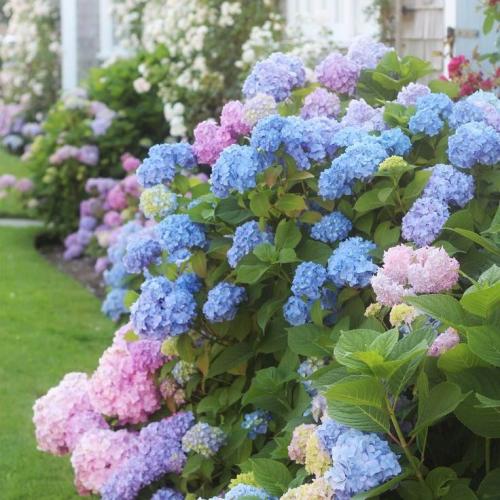 สมาชิกหมายเลข 5445855