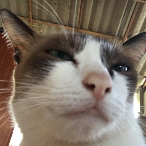 สมาชิกหมายเลข 7720422