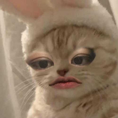 สมาชิกหมายเลข 8633031