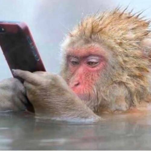 สมาชิกหมายเลข 8669124