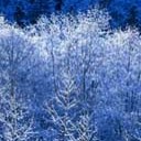 สมาชิกหมายเลข 3640136