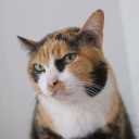 สมาชิกหมายเลข 3640161