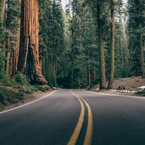 สมาชิกหมายเลข 1080225