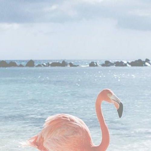 สมาชิกหมายเลข 1138988