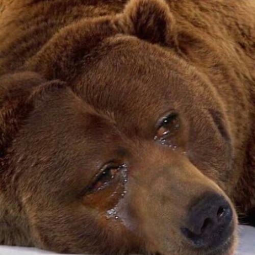 สมาชิกหมายเลข 4534802