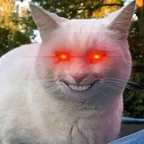 สมาชิกหมายเลข 4411356