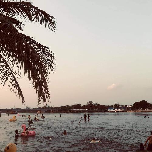 สมาชิกหมายเลข 5561715