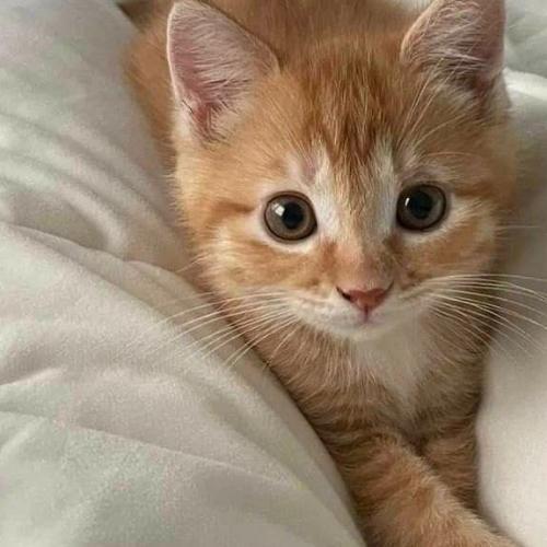 สมาชิกหมายเลข 6977834