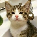 สมาชิกหมายเลข 1709185