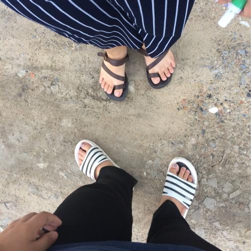 สมาชิกหมายเลข 4103153