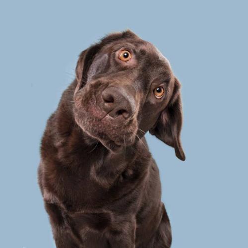 สมาชิกหมายเลข 3228762