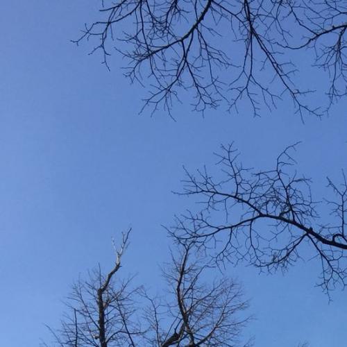 สมาชิกหมายเลข 4394494