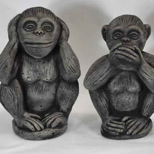 สมาชิกหมายเลข 2646060