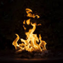 The fire of immortality