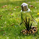 สมาชิกหมายเลข 5054810