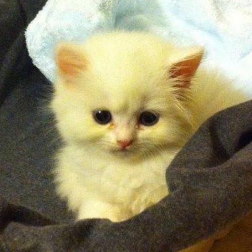 รักตัวเองก็พอ