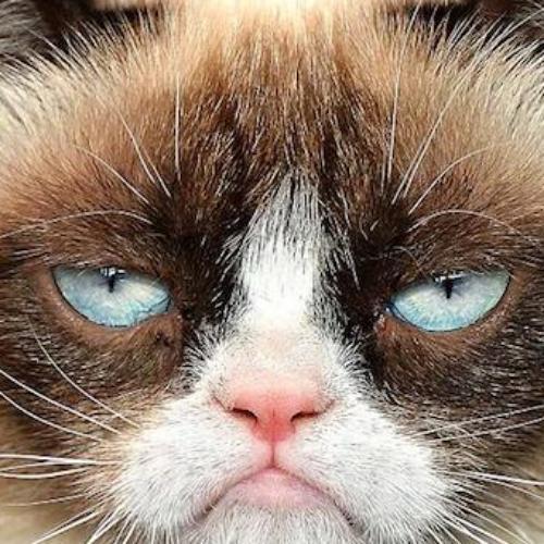 สมาชิกหมายเลข 5695170