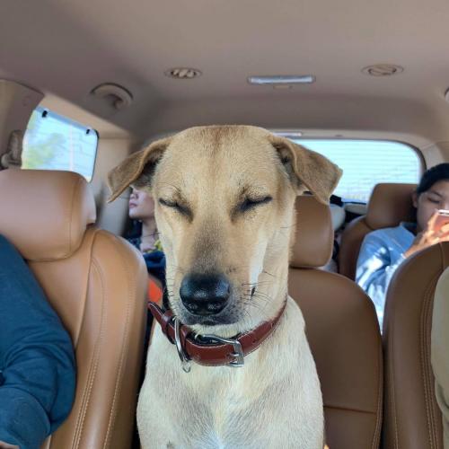 สมาชิกหมายเลข 5703484