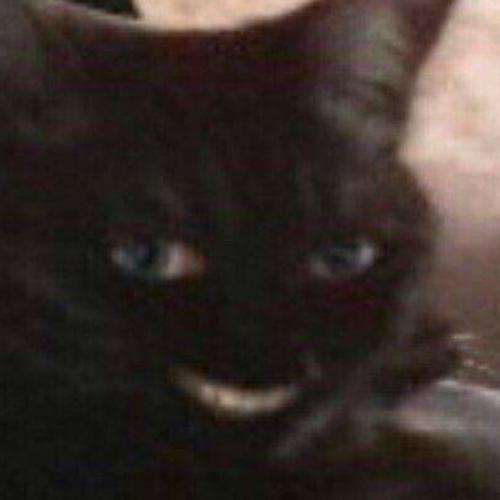 สมาชิกหมายเลข 5705579