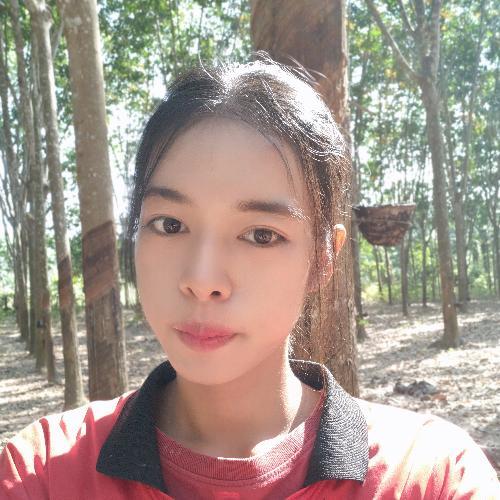 สมาชิกหมายเลข 3305459