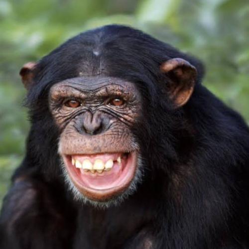 สมาชิกหมายเลข 8428533