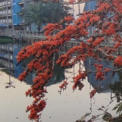 สมาชิกหมายเลข 8461414