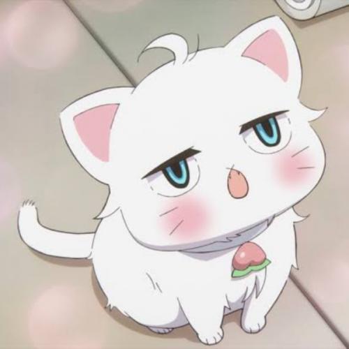 สมาชิกหมายเลข 8670070