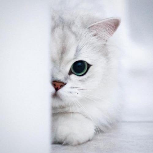 สมาชิกหมายเลข 5117956