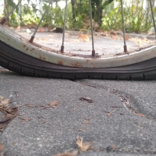 สมาชิกหมายเลข 5226156