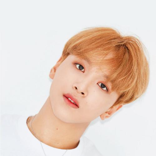 สมาชิกหมายเลข 5266684