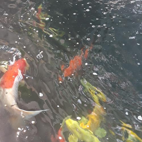 สมาชิกหมายเลข 5266967