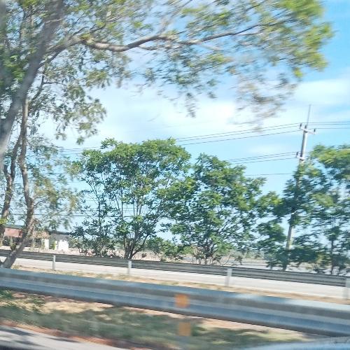 สมาชิกหมายเลข 6802878