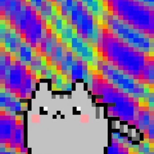 สมาชิกหมายเลข 3544527