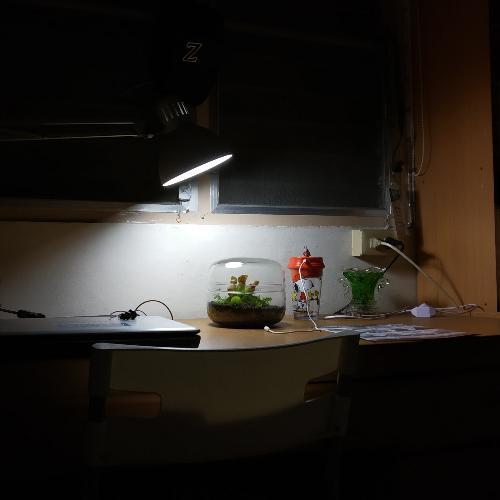 สมาชิกหมายเลข 4503445