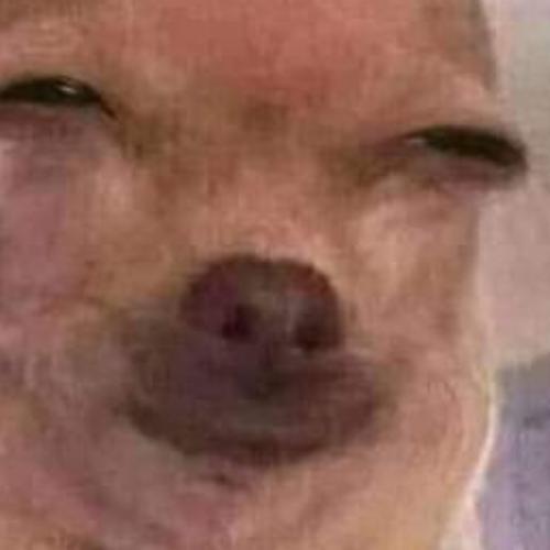 สมาชิกหมายเลข 5599122