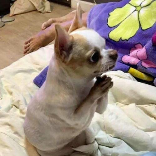 สมาชิกหมายเลข 5706437