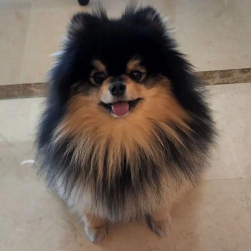 สมาชิกหมายเลข 6861866