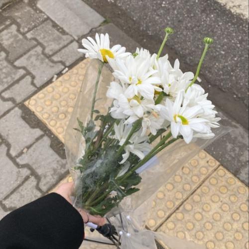 สมาชิกหมายเลข 7639159