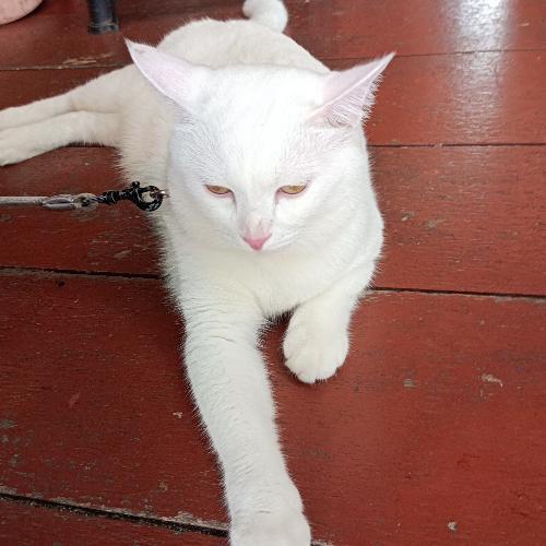 สมาชิกหมายเลข 822190