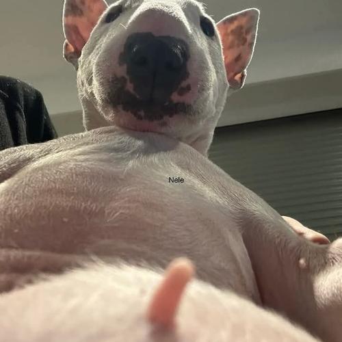 สมาชิกหมายเลข 8564480